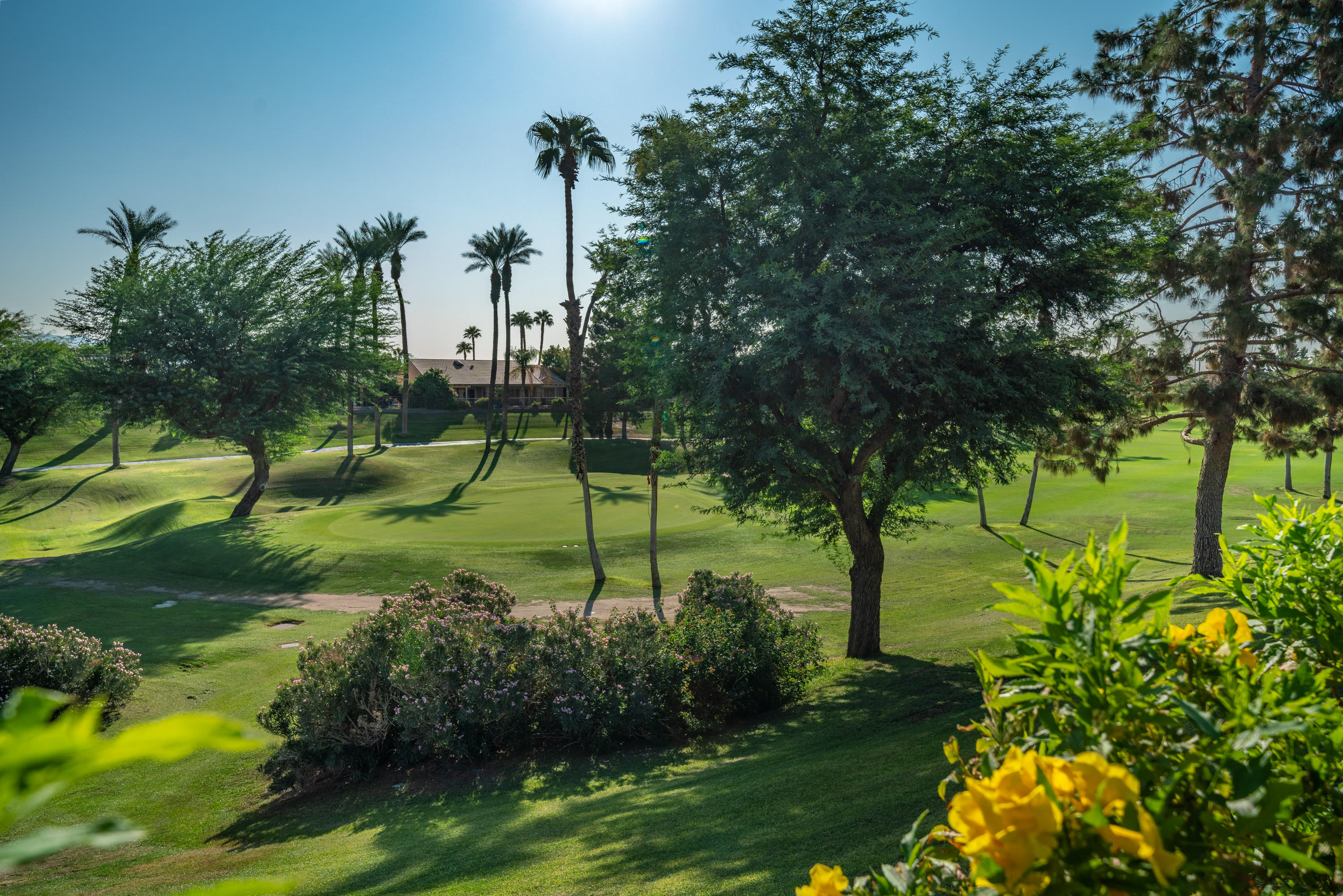 39579 Manorgate Road Palm Desert, CA 92211 - Photo 33 of 44 Photo-31