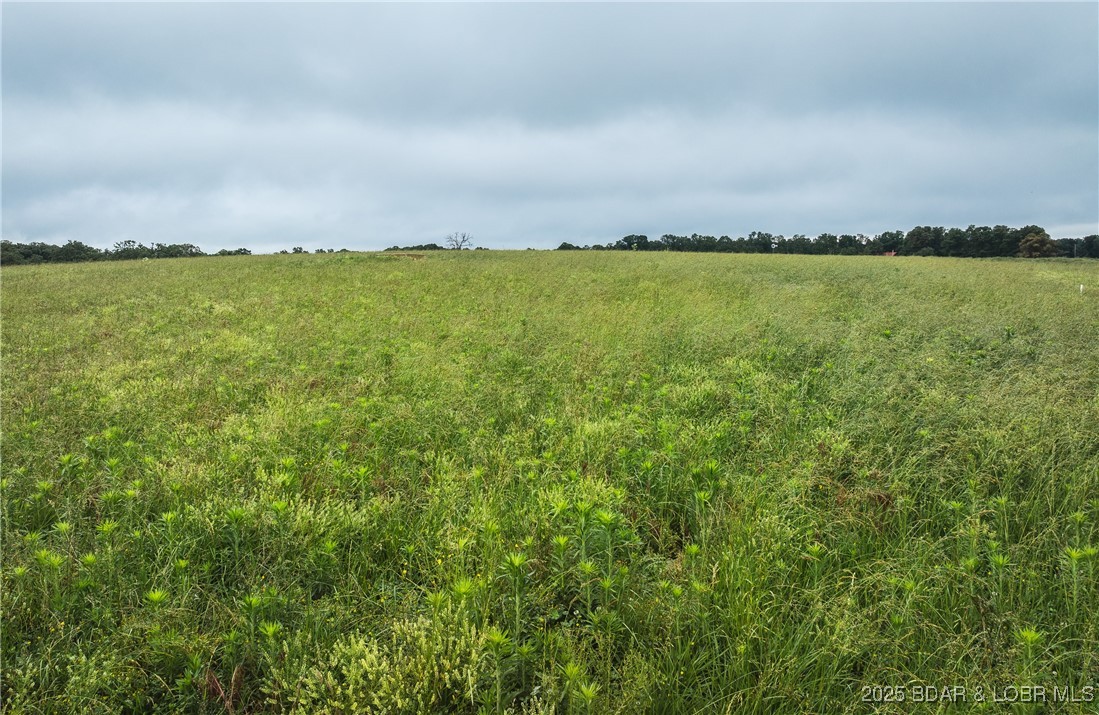 1 Farm Road Crane, MO 65633 - Photo 17 of 25