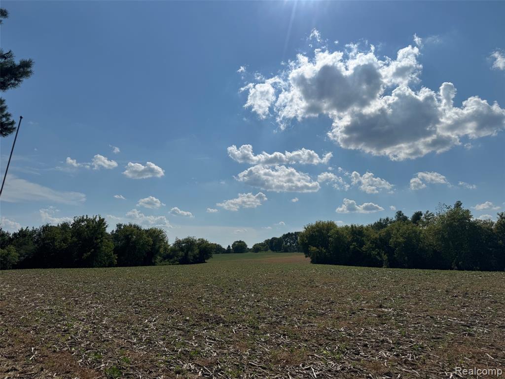 Vl South Mill Road Dryden, MI 48428 - Photo 5 of 13