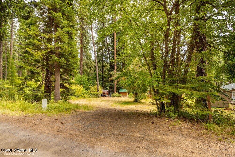 97 Chatcolet Upper Road Plummer, ID 83851 - Photo 23 of 40 Driveway