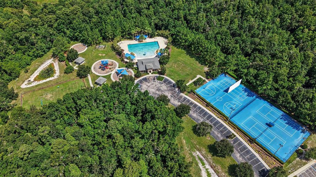 17823 Daisy Farm Drive Lutz, FL 33559 - Photo 6 of 6
