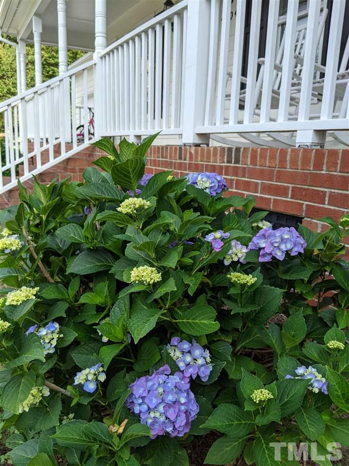 4204 Willow Lake Road Raleigh, NC 27616 - Photo 2 of 25