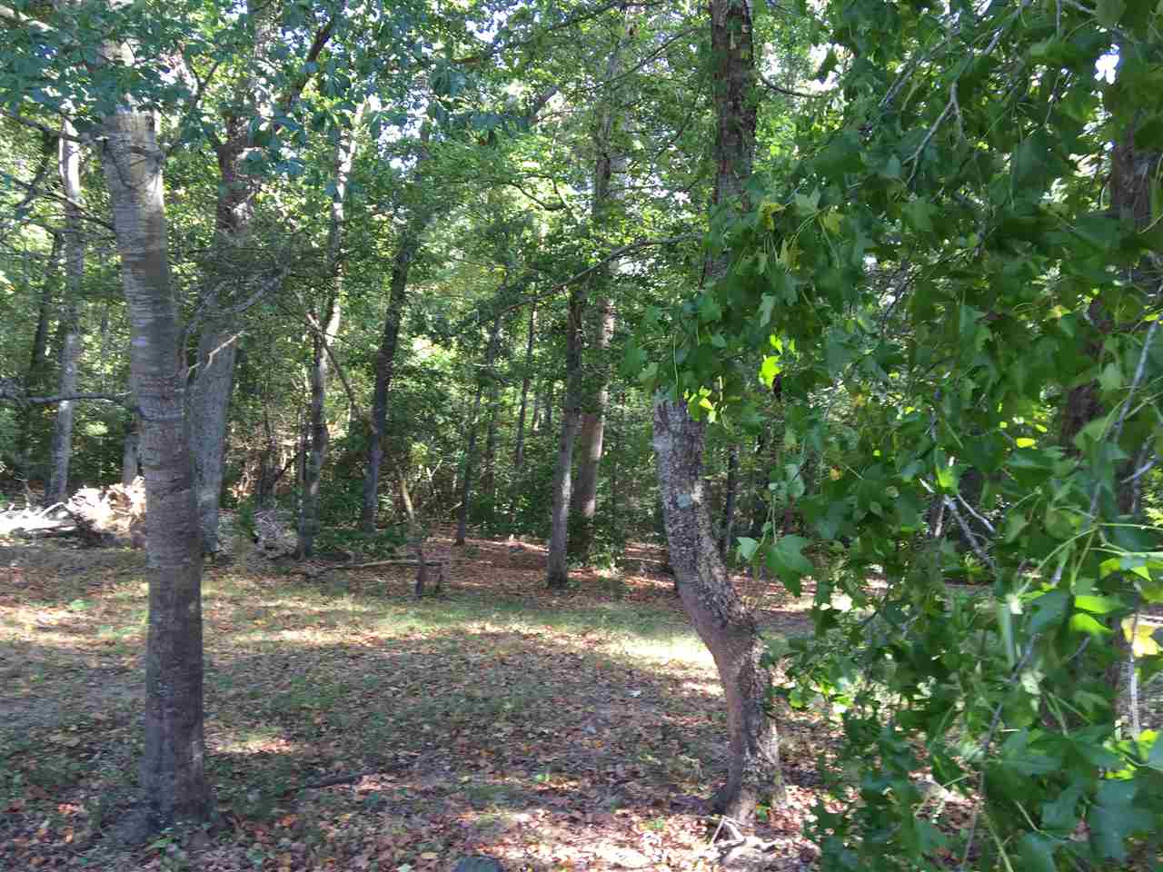 398 Dunaway Road Roebuck, SC 29376 - Photo 2 of 21