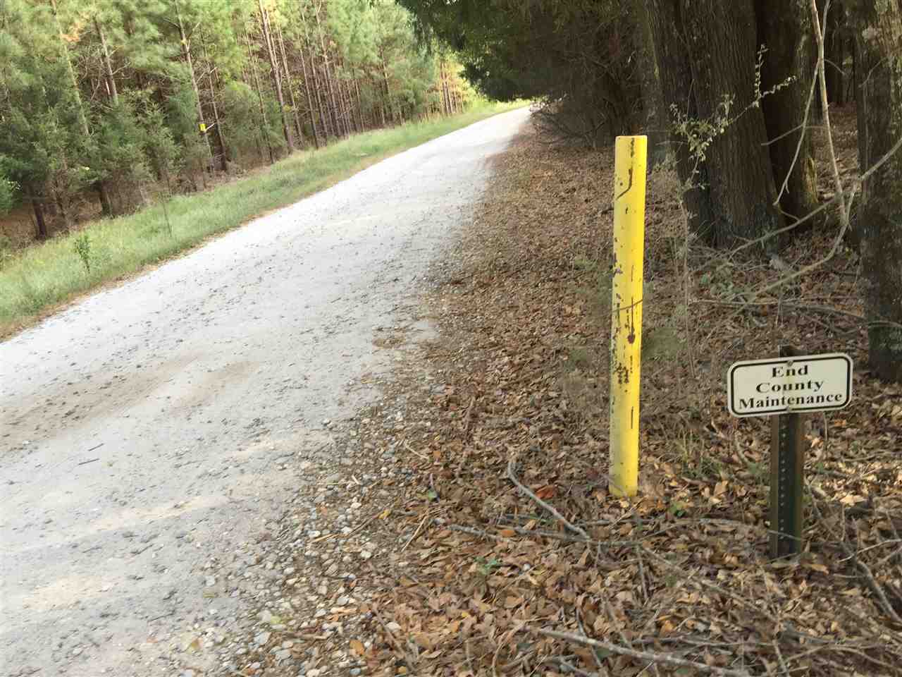 398 Dunaway Road Roebuck, SC 29376 - Photo 6 of 21