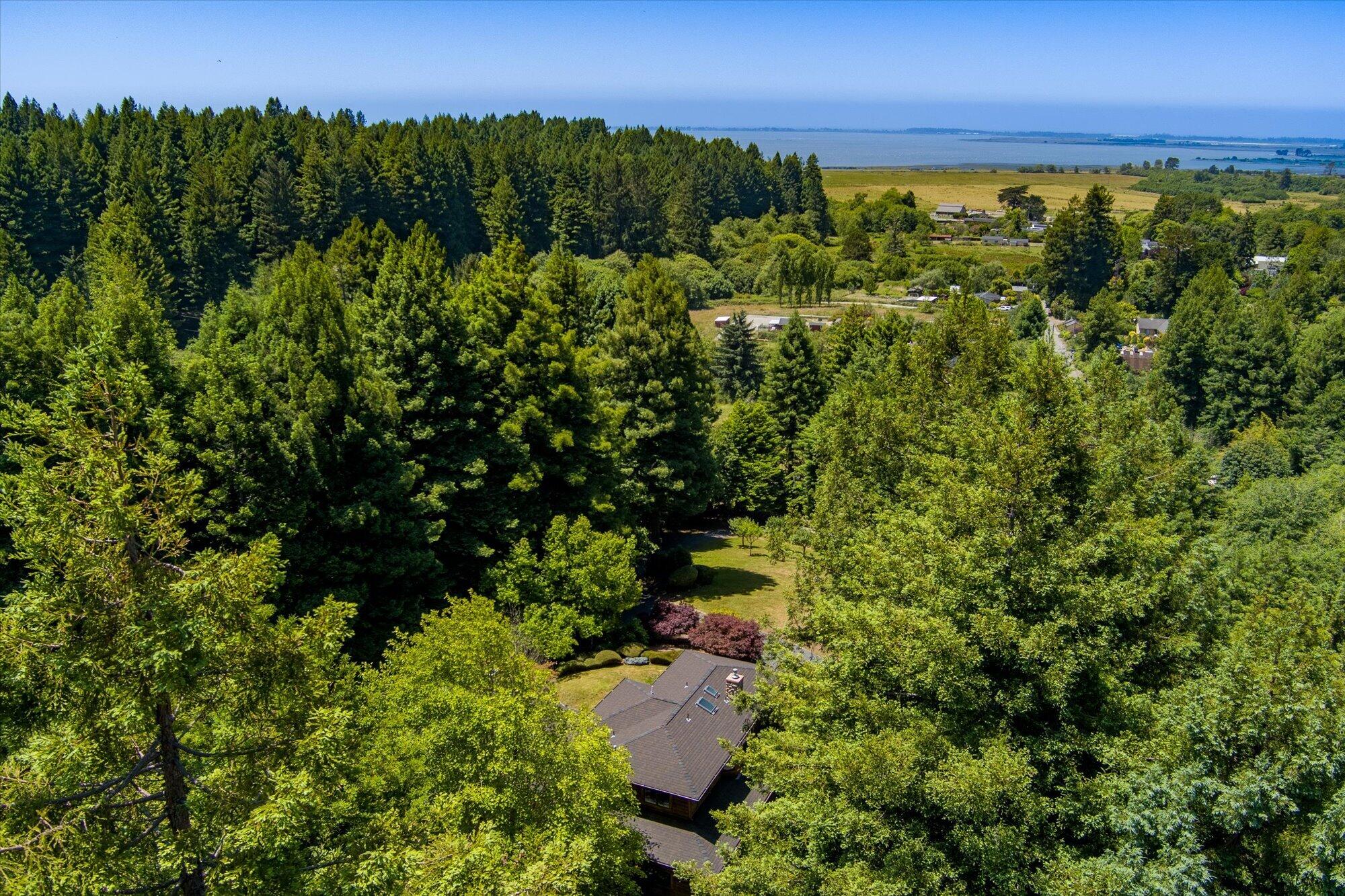 2430 Graham Road Bayside, CA 95524 - Photo 90 of 129