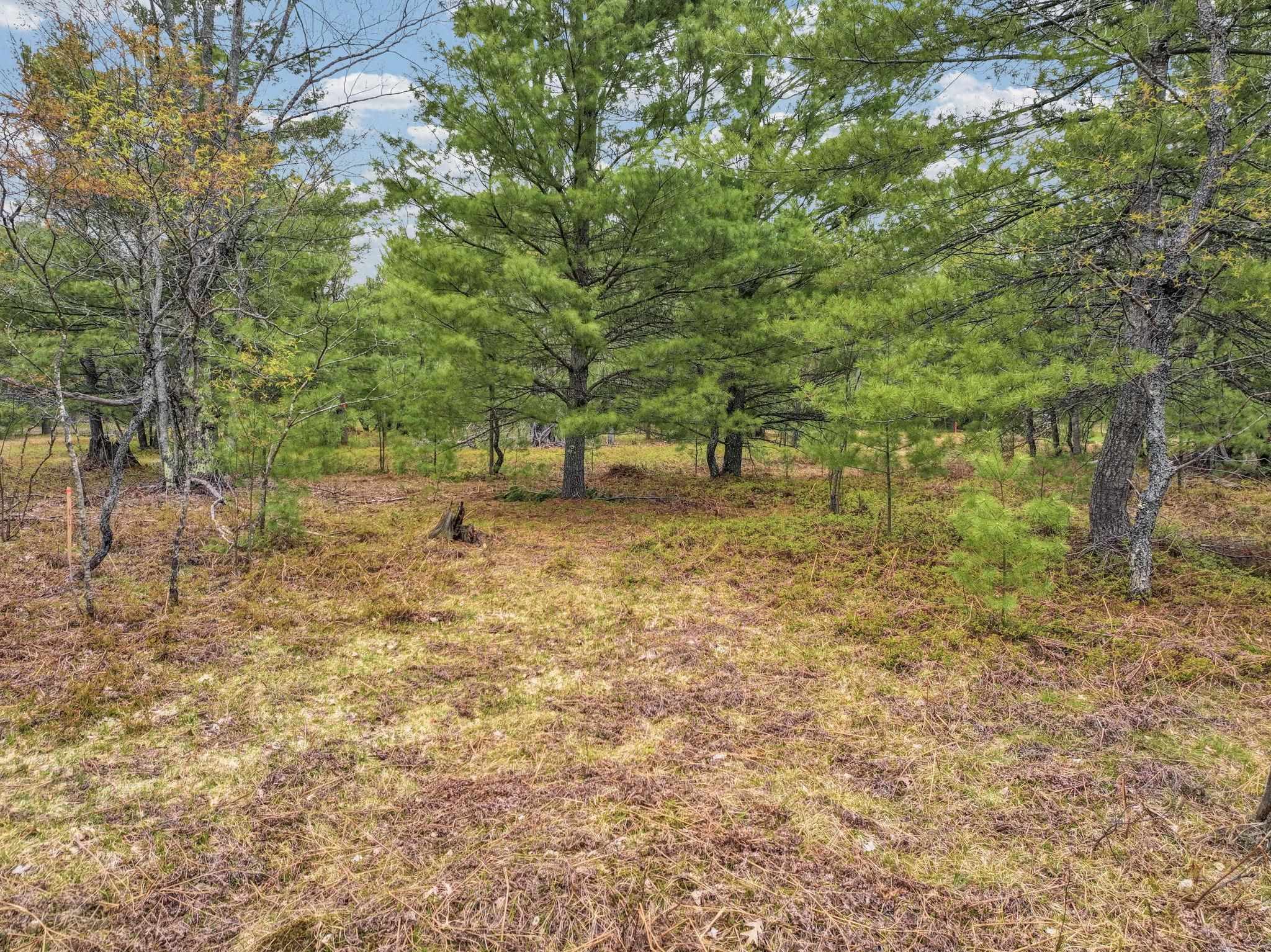 South Military Road Fife Lake, MI 49633 - Photo 2 of 18 Gallery Image 2
