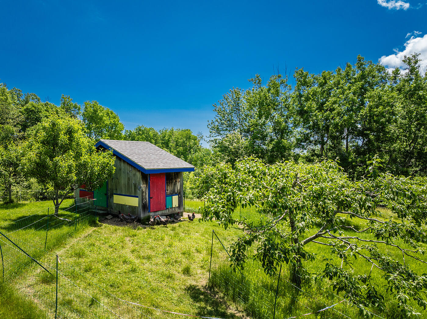 90 Salamander Road Lincolnville, ME 04849 - Photo 50 of 56 DJI_0474