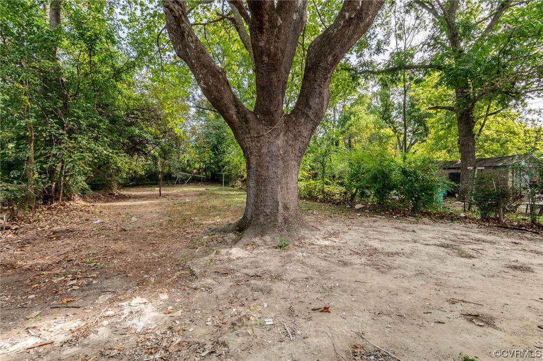 117 Spring Street Petersburg, VA 23803 - Photo 19 of 22 a view of outdoor space and yard