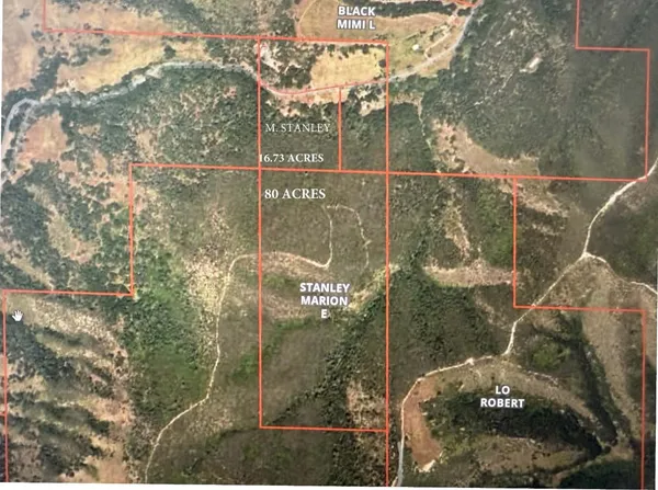 a view of park with large tree