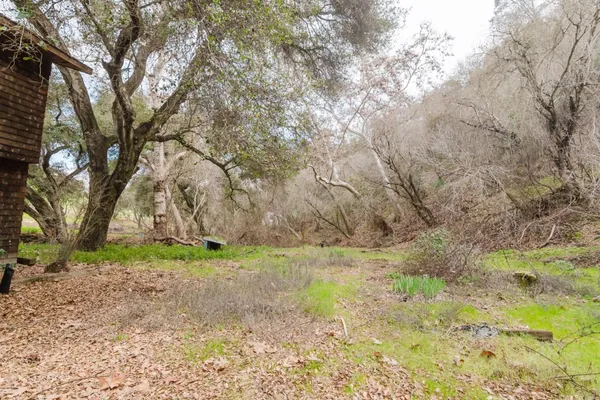 a view of a back yard with plants and wooden fence