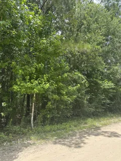 $45,000 | 19164 Suffolk, New Caney, TX 77357