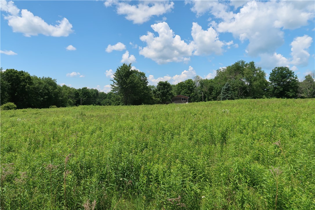 226 Sisson Hill Road Unadilla, NY 13849 - Photo 41 of 43