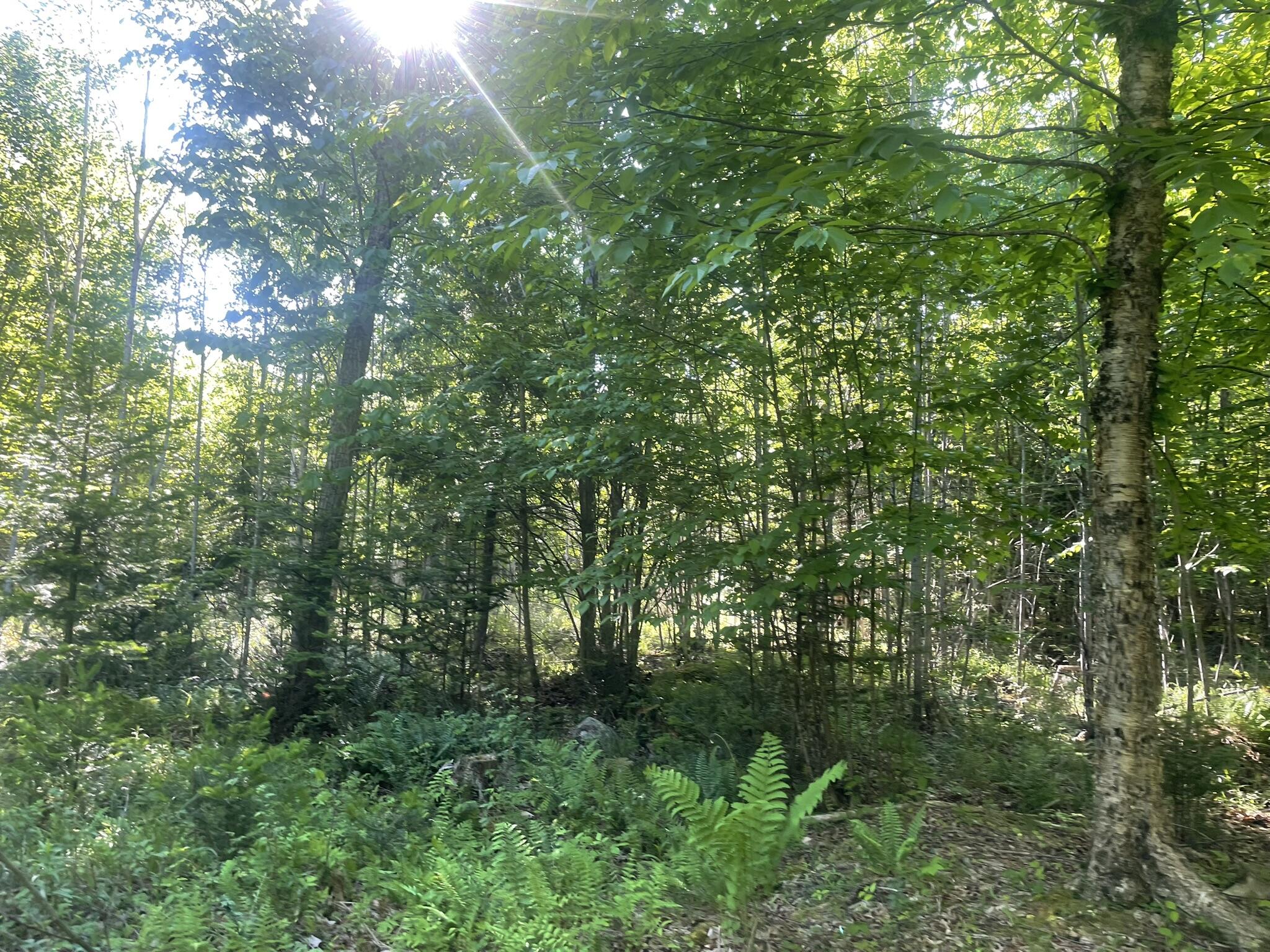 0 Macomber Road Readfield, ME 04355 - Photo 60 of 61 IMG_5696