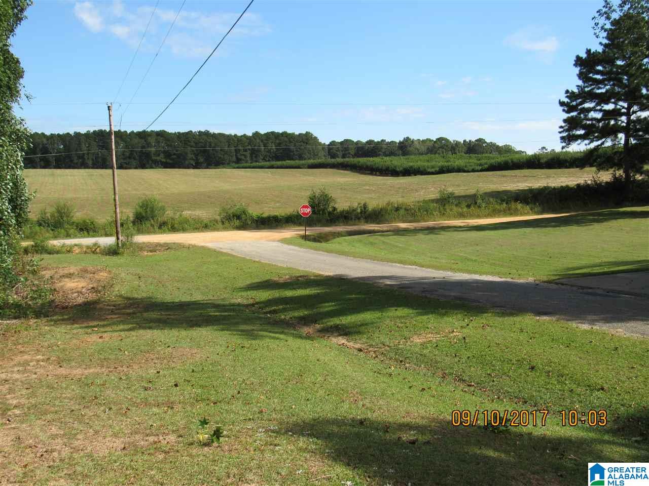 36 County Road 763 Clanton, AL 35046 - Photo 14 of 50