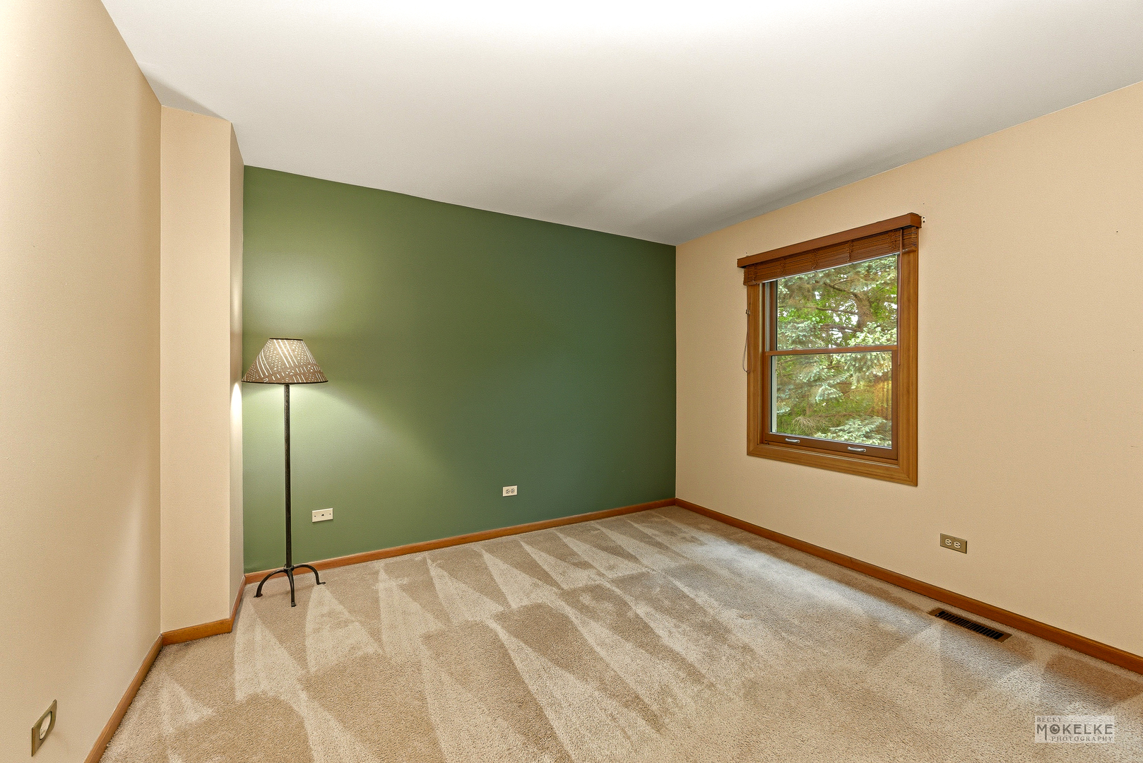 2340 Ridgewood Road Lisle, IL 60532 - Photo 24 of 47