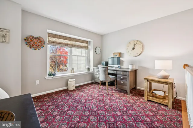 a view of park with plants