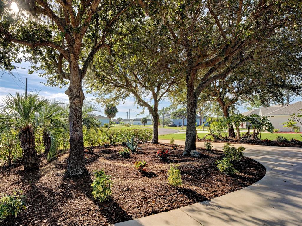 45 Tee View Road Rotonda West, FL 33947 - Photo 6 of 64 a view of a backyard with large trees