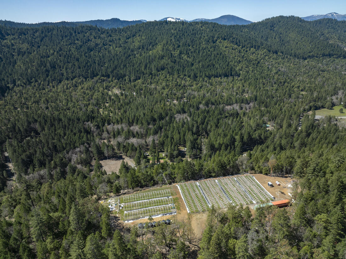 550 Terrace Heights Road Selma, OR 97538 - Photo 12 of 26 DJI_0010