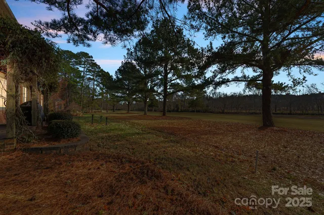 $1,195,000 | 18504 Carnegie Overlook Boulevard, Davidson, NC 28036