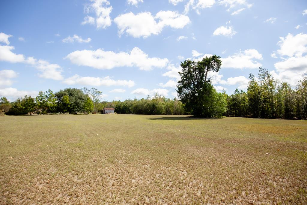 184 Homeplace Road Neeses, SC 29107 - Photo 38 of 39