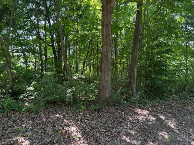 $30,000 | 3190-3198 Prospect Street, Coloma, MI 49038