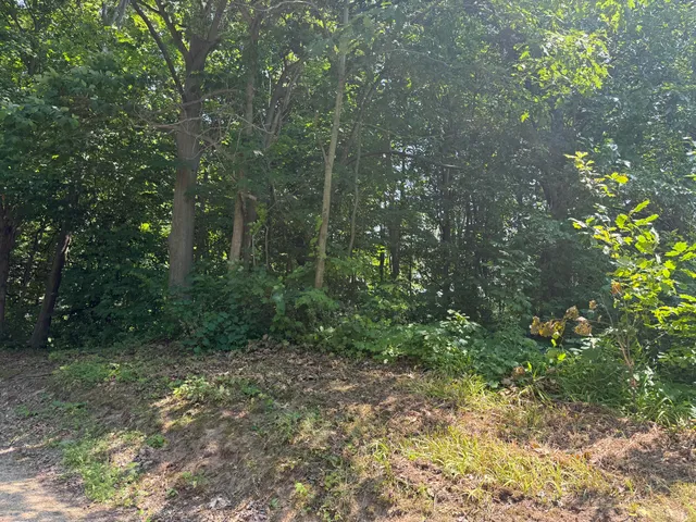 $30,000 | 3190-3198 Prospect Street, Coloma, MI 49038