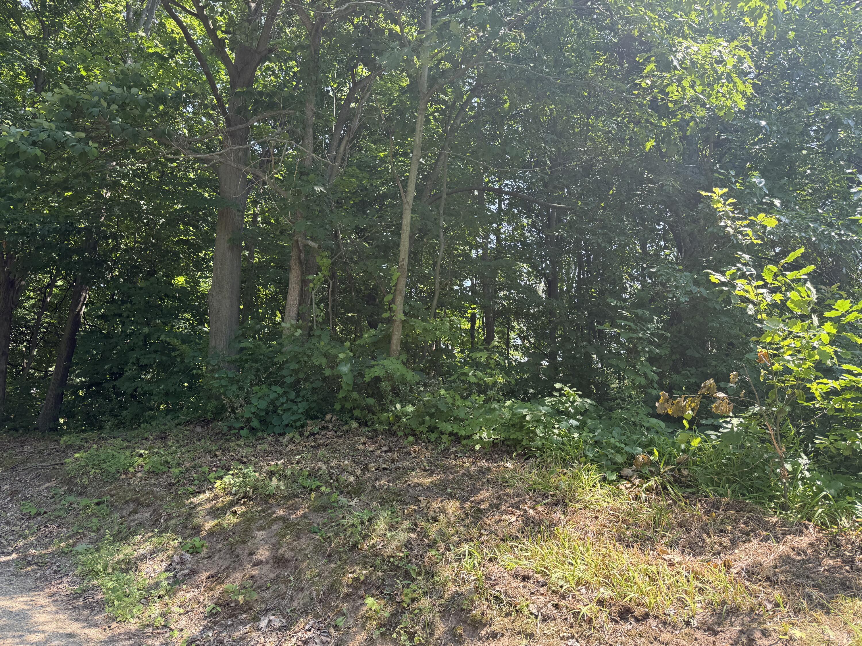 3190-3198 Prospect Street Coloma, MI 49038 - Photo 2 of 3 IMG_3107