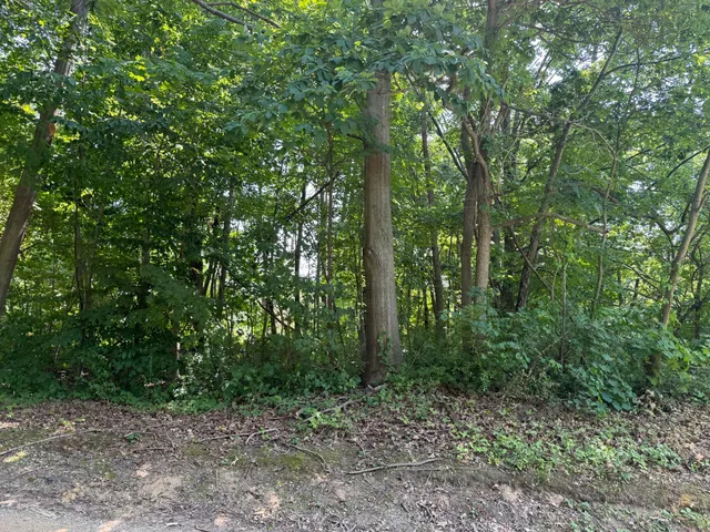 $30,000 | 3190-3198 Prospect Street, Coloma, MI 49038