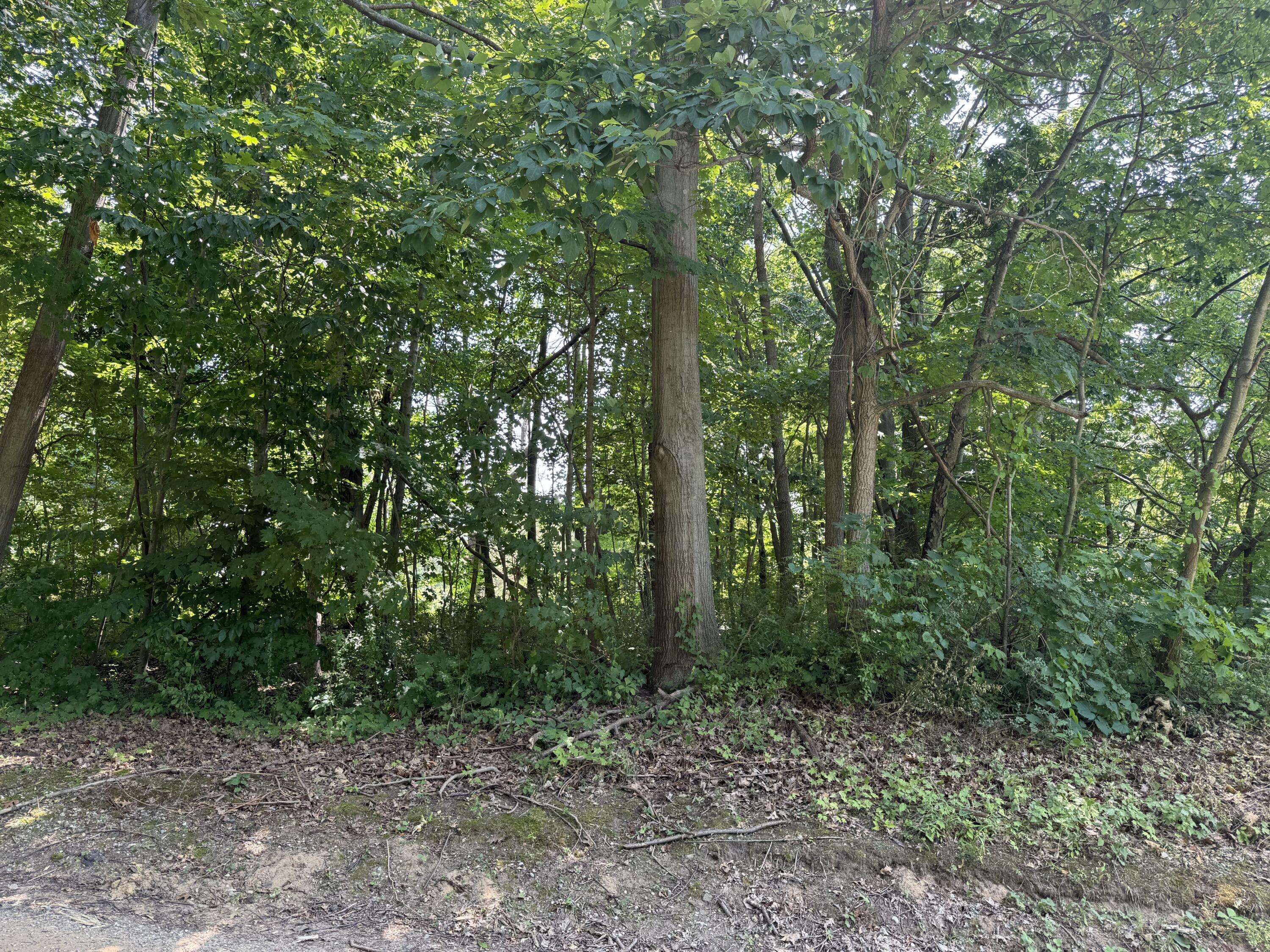 3190-3198 Prospect Street Coloma, MI 49038 - Photo 3 of 3 IMG_3106