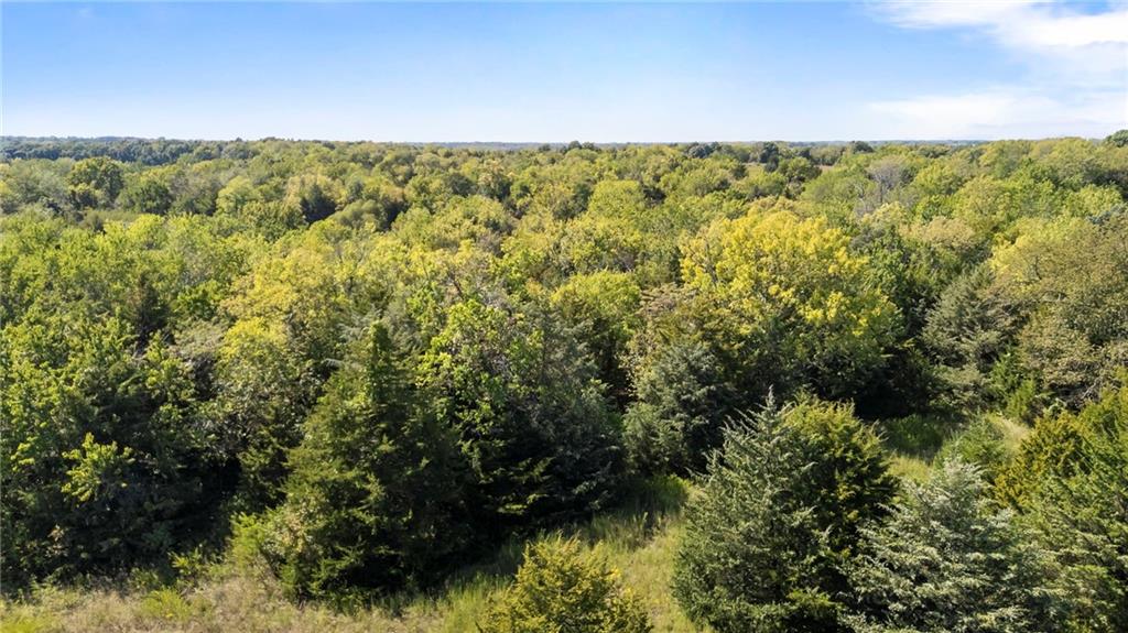 South Kill Creek Road Spring Hill, KS 66083 - Photo 12 of 36