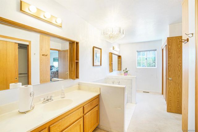 a bathroom with a sink a vanity and a mirror