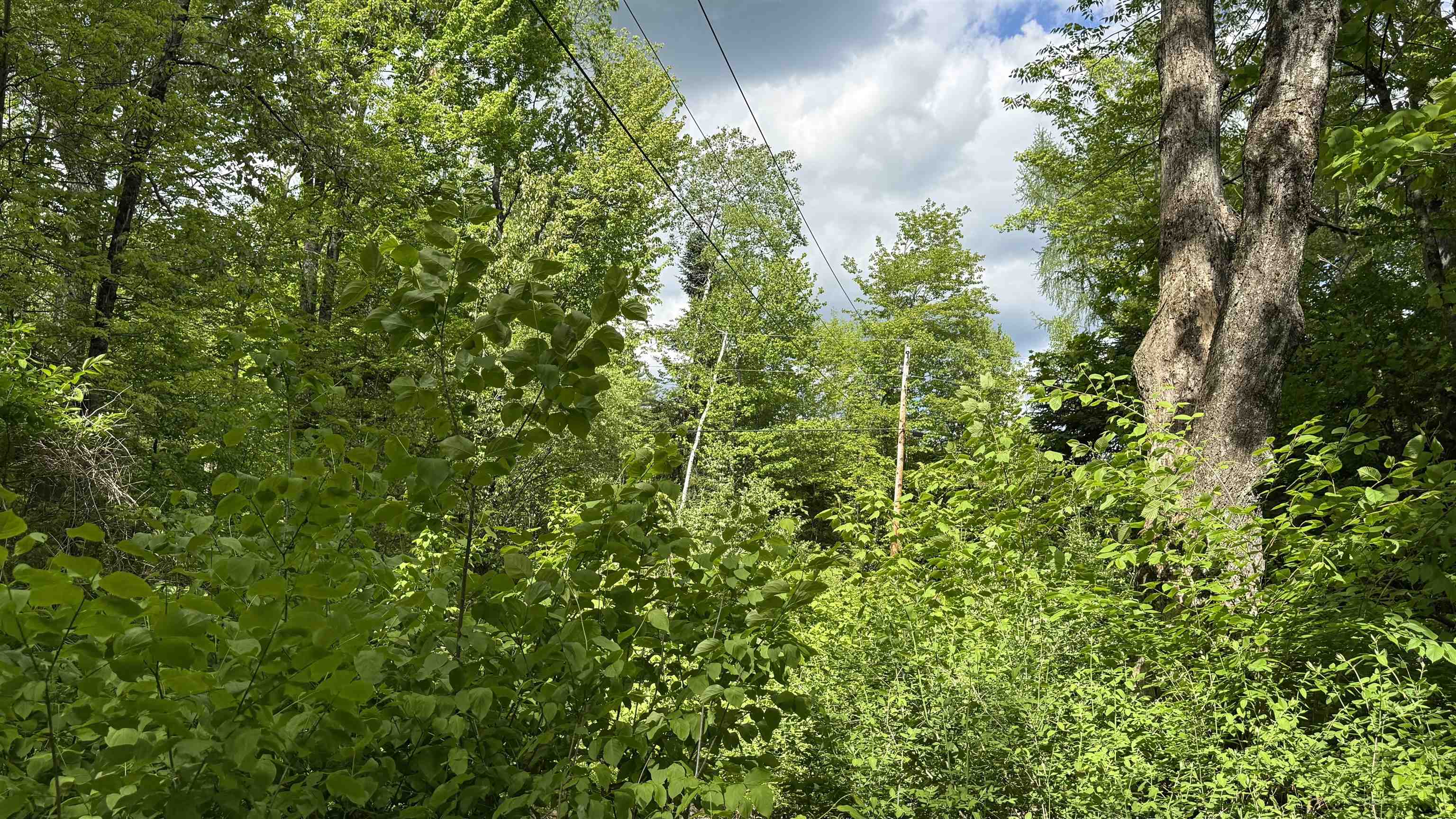716 Cemetery Road Johnson, VT 05656 - Photo 10 of 16
