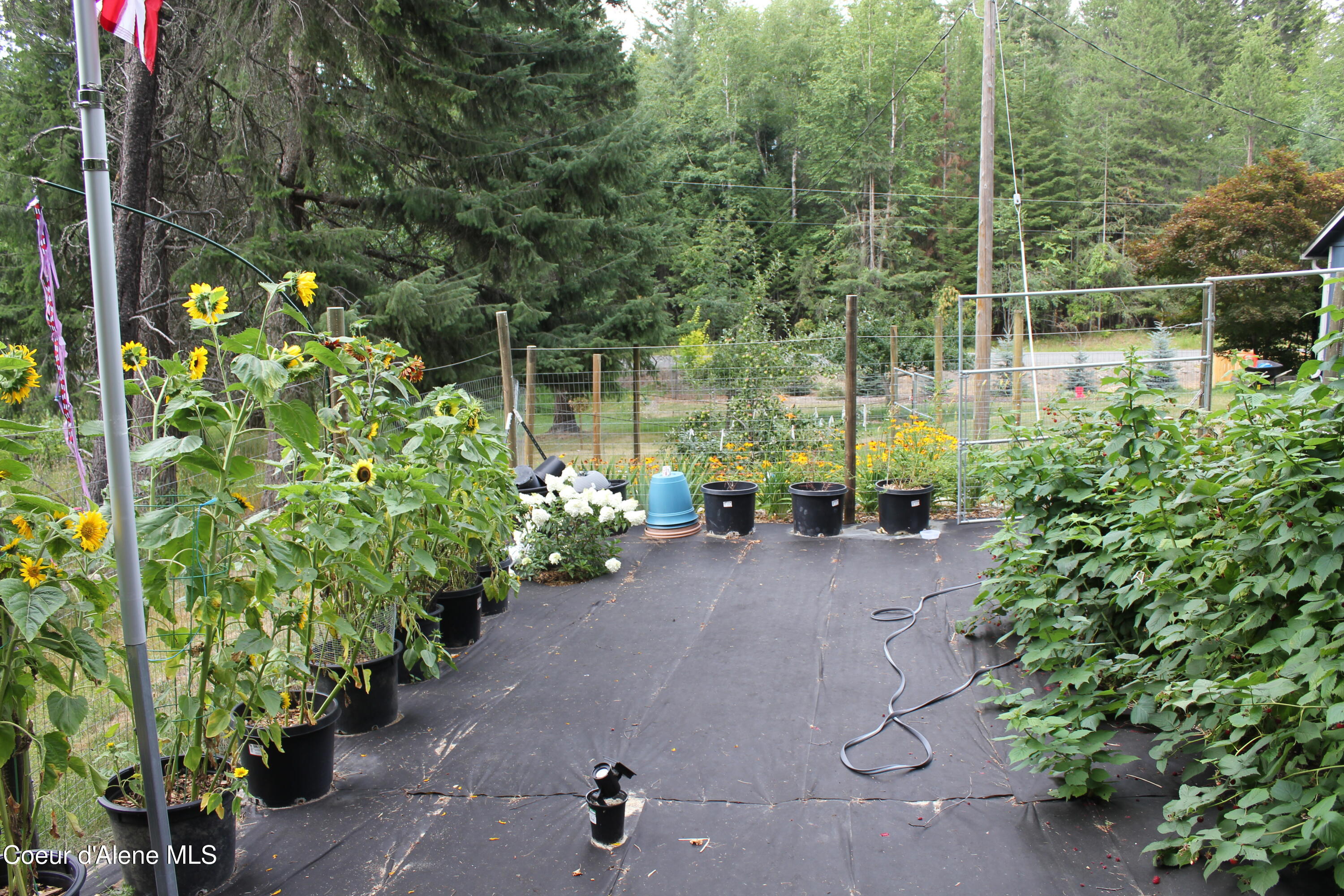 6364 Bottle Bay Road Sagle, ID 83860 - Photo 72 of 75 IMG_7747