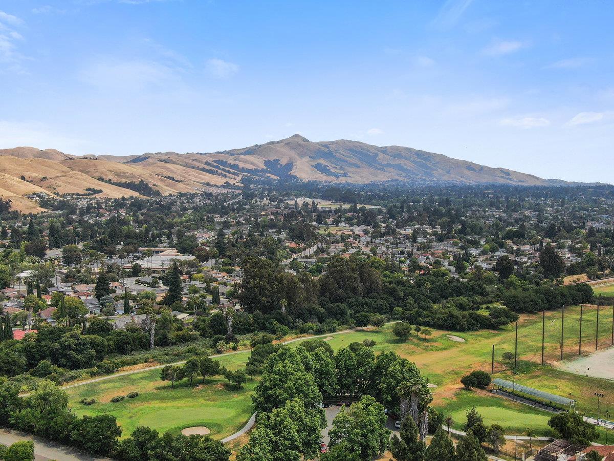 133 Stevenson Boulevard Fremont, CA 94539 - Photo 33 of 36 a view of a lush green hillside and houses