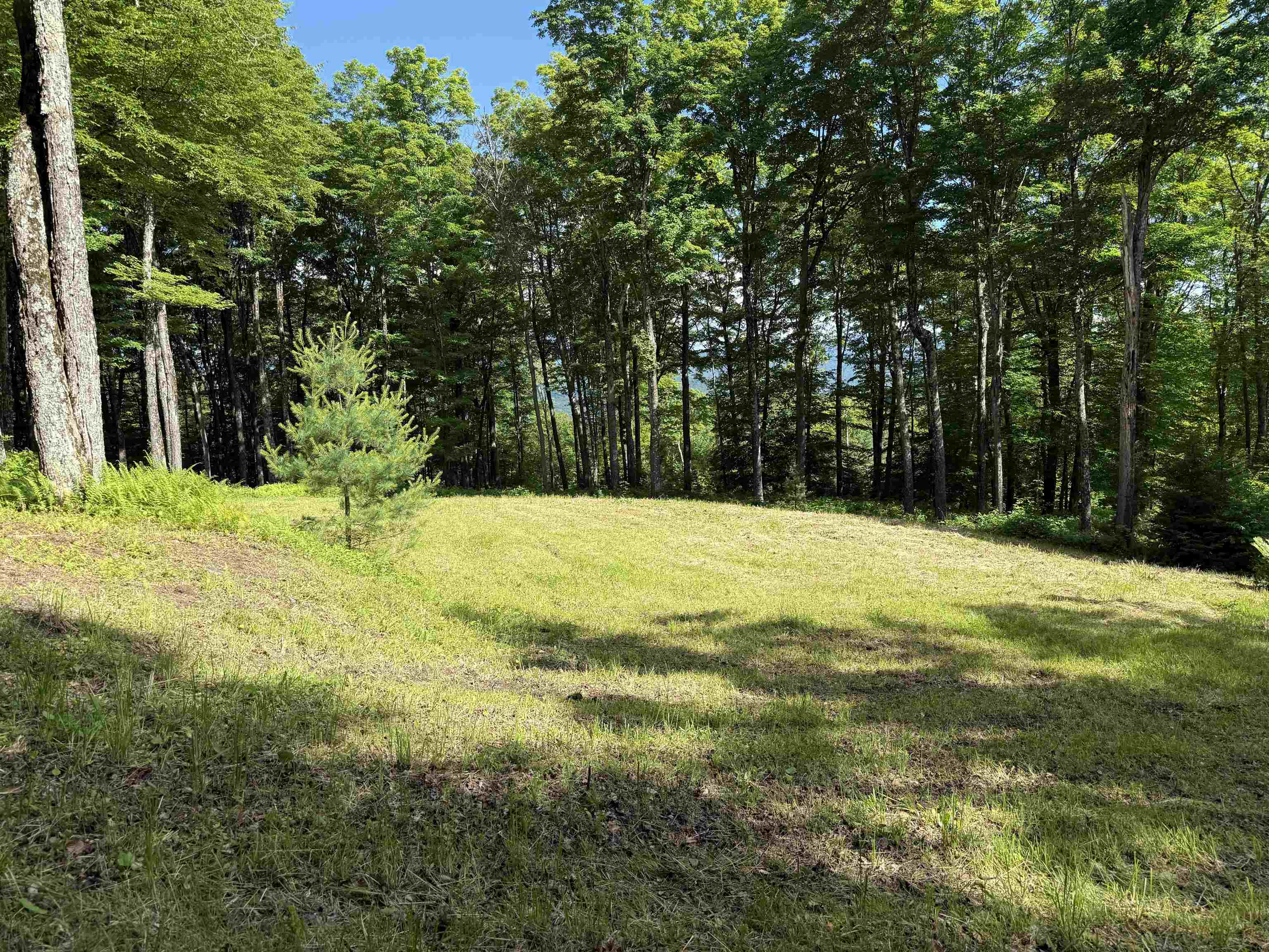 884 Palmer Hill Road Waitsfield, VT 05673 - Photo 36 of 43