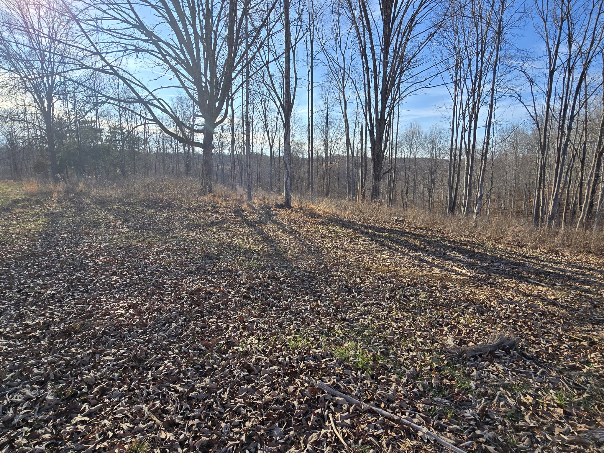 9510 Medlin Road Baxter, TN 38544 - Photo 4 of 12