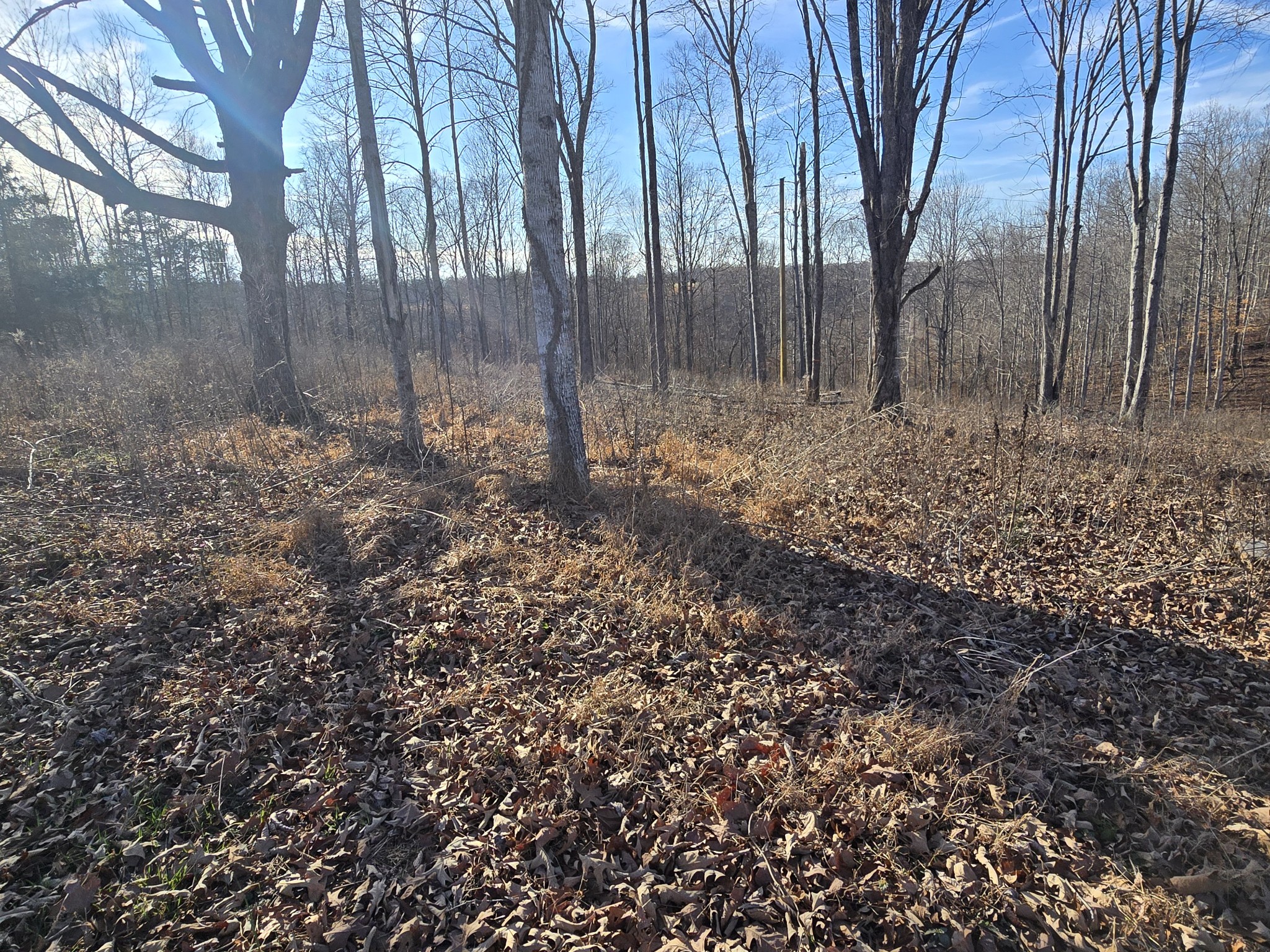 9510 Medlin Road Baxter, TN 38544 - Photo 6 of 12