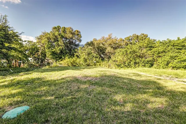 a view of yard with outdoor space