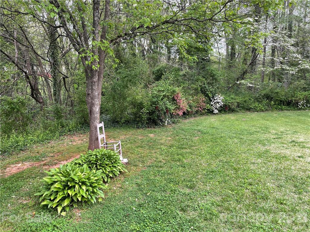 224 Lynch Street Rutherfordton, NC 28139 - Photo 22 of 23 a view of a field with a tree in the background