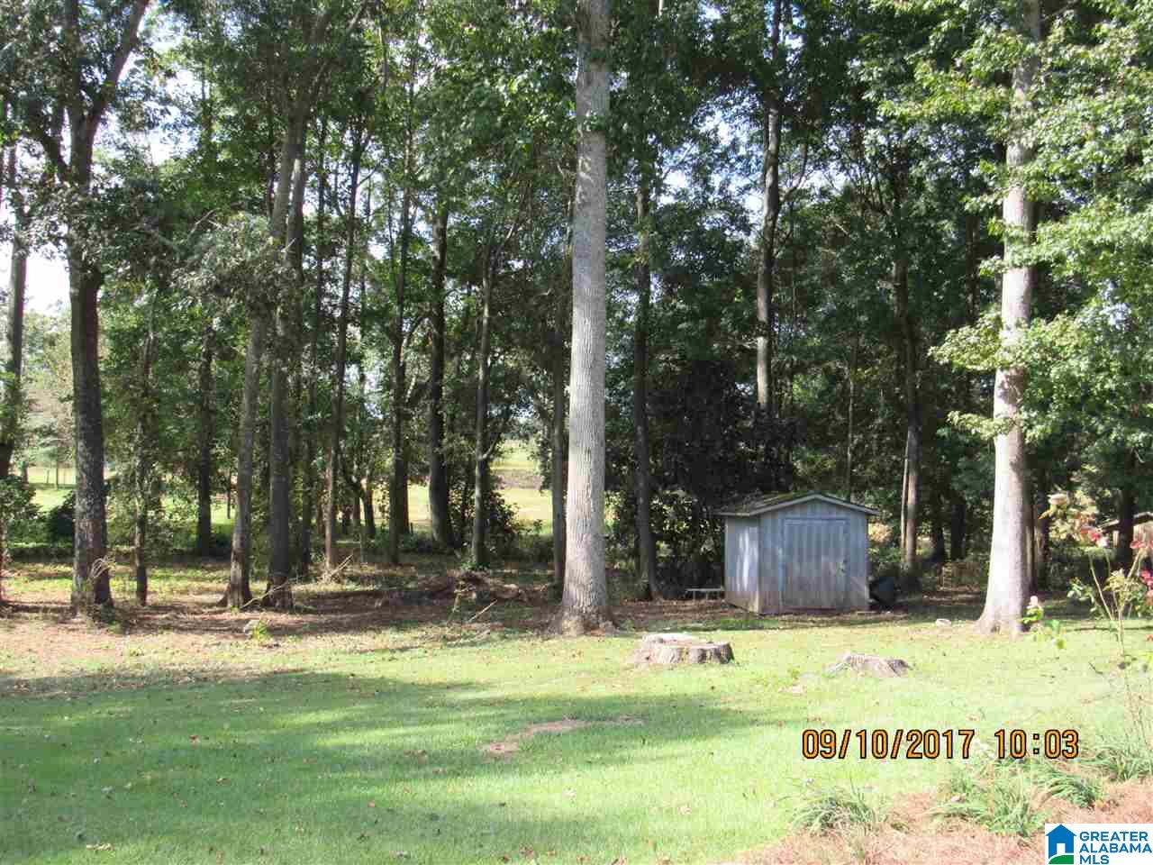 36 County Road 763 Clanton, AL 35046 - Photo 13 of 50