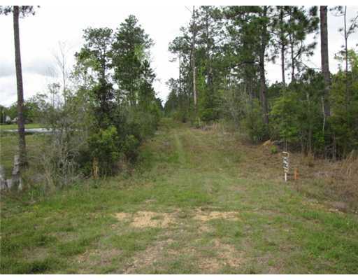 Bell Creek Rd Pass Pass Christian, MS 39571 - Photo 1 of 9 Primary Photo