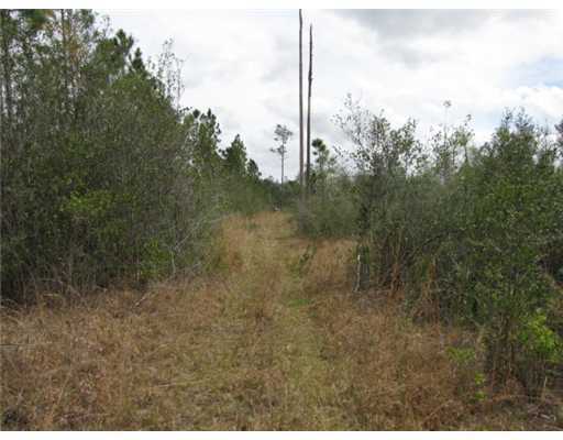 Bell Creek Rd Pass Pass Christian, MS 39571 - Photo 2 of 9 Additional Photo