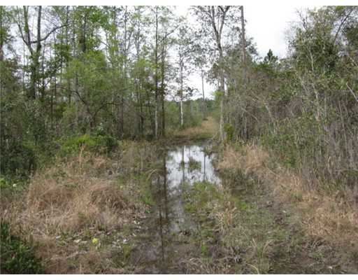 Bell Creek Rd Pass Pass Christian, MS 39571 - Photo 4 of 9 Additional Photo