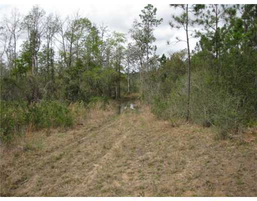 Bell Creek Rd Pass Pass Christian, MS 39571 - Photo 5 of 9 Additional Photo