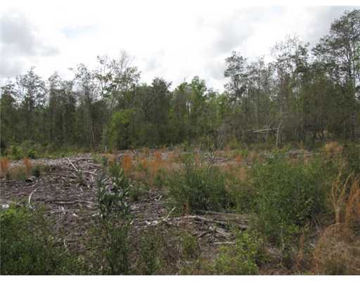 Bell Creek Rd Pass Pass Christian, MS 39571 - Photo 8 of 9 Additional Photo