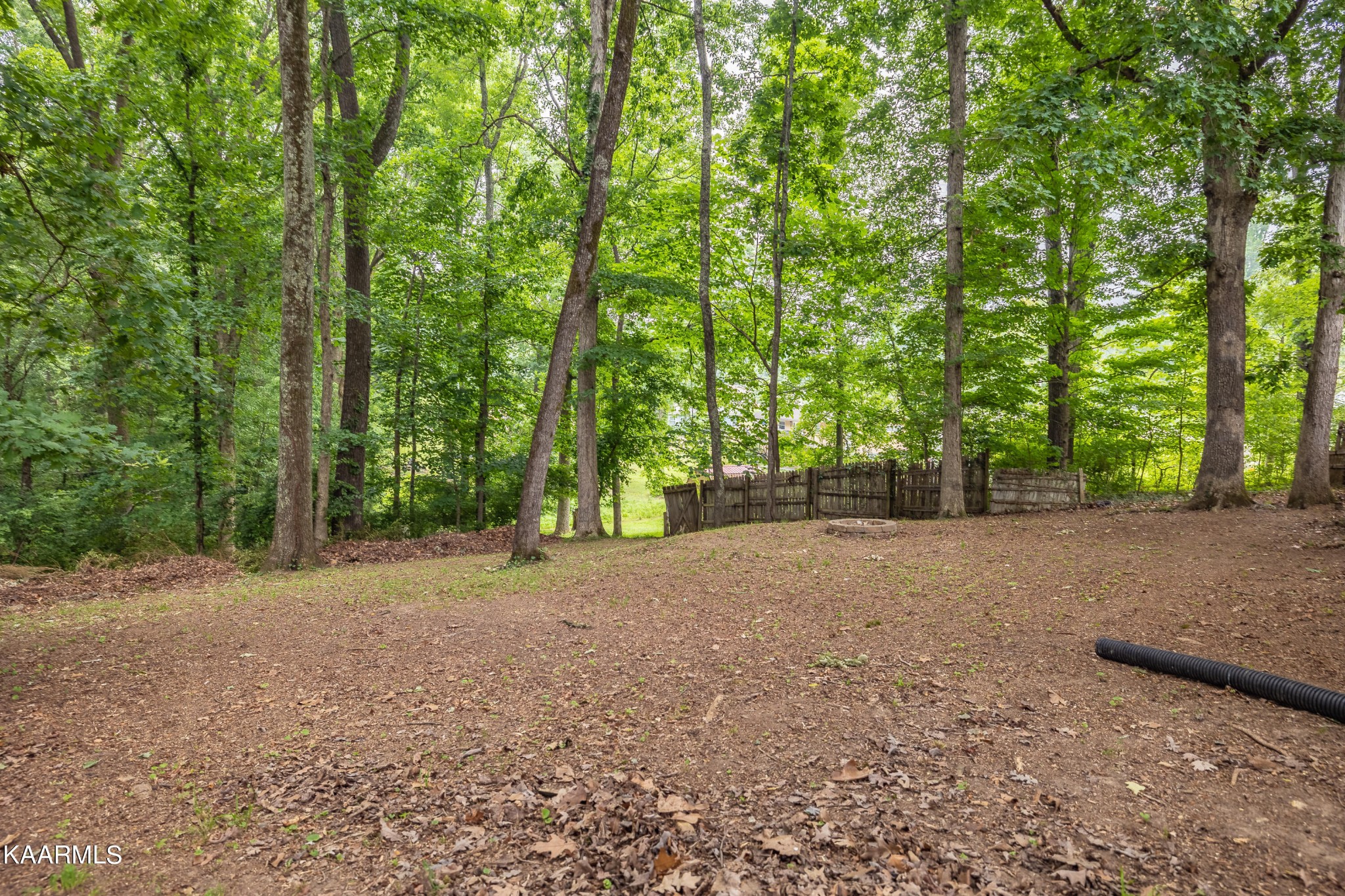 102 Wayne Place Oak Ridge, TN 37830 - Photo 25 of 26 Gallery Image 25