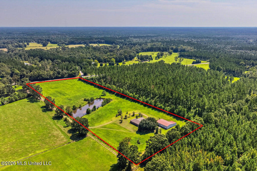 847 City Bridge Road Perkinston, MS 39573 - Photo 56 of 65 847CityBridgeRd-56
