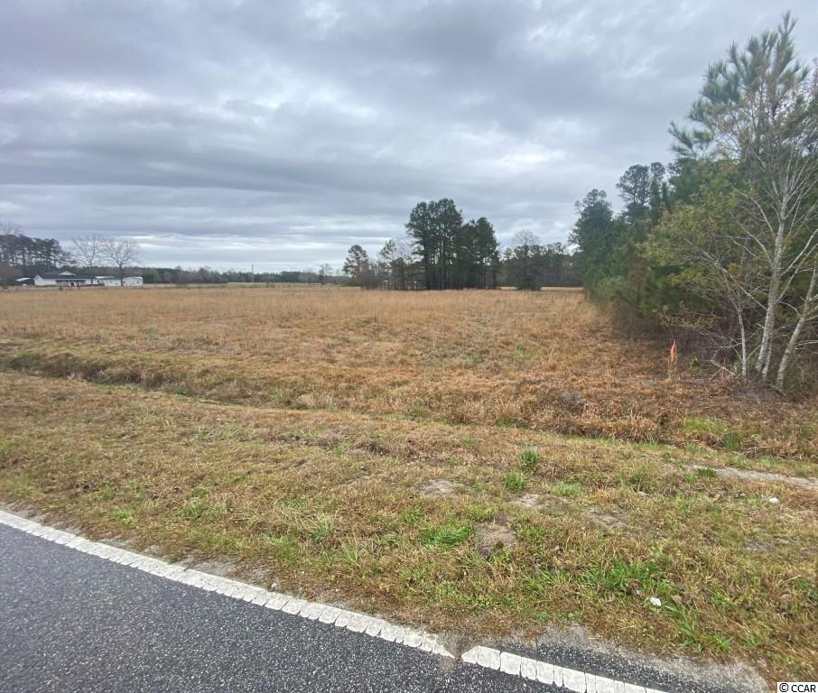 Tbd Woodyard Bay Road Loris, SC 29569 - Photo 2 of 5 Gallery Image 2