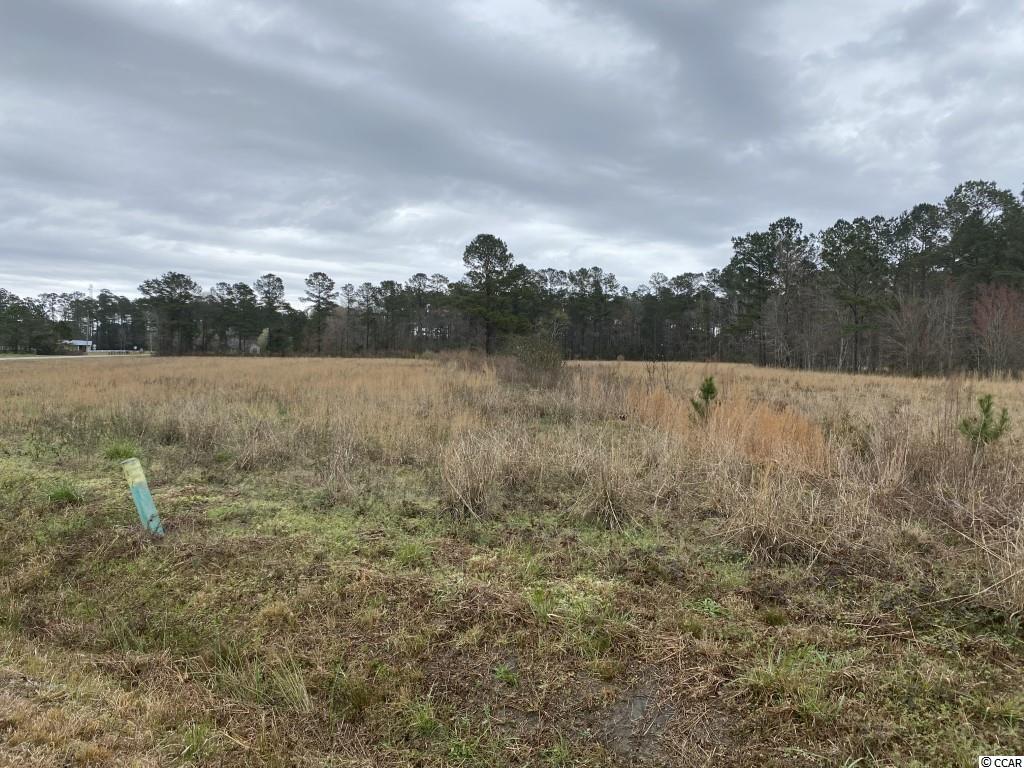 Tbd Woodyard Bay Road Loris, SC 29569 - Photo 3 of 5 Gallery Image 3