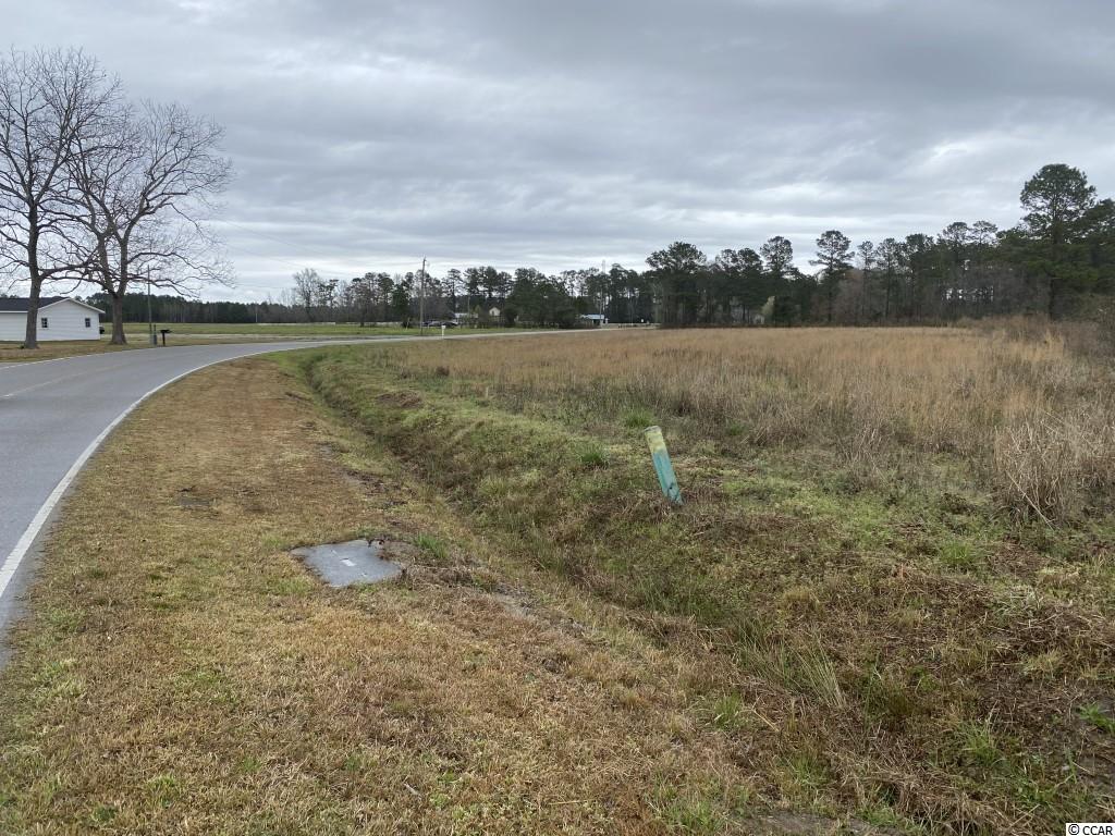 Tbd Woodyard Bay Road Loris, SC 29569 - Photo 4 of 5 Gallery Image 4